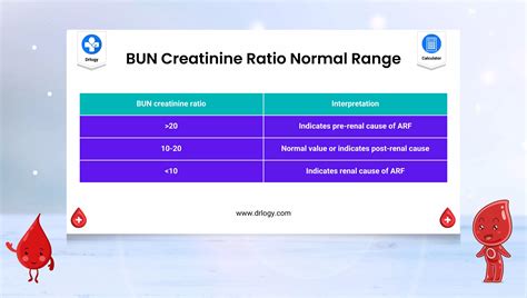 25 in ratio|bun creatinine ratio 25 meaning.